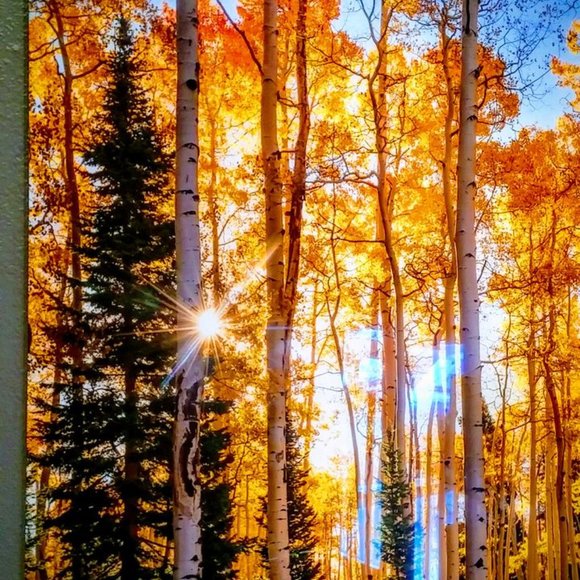 Meet your Posher, L - Picture 1 of 2